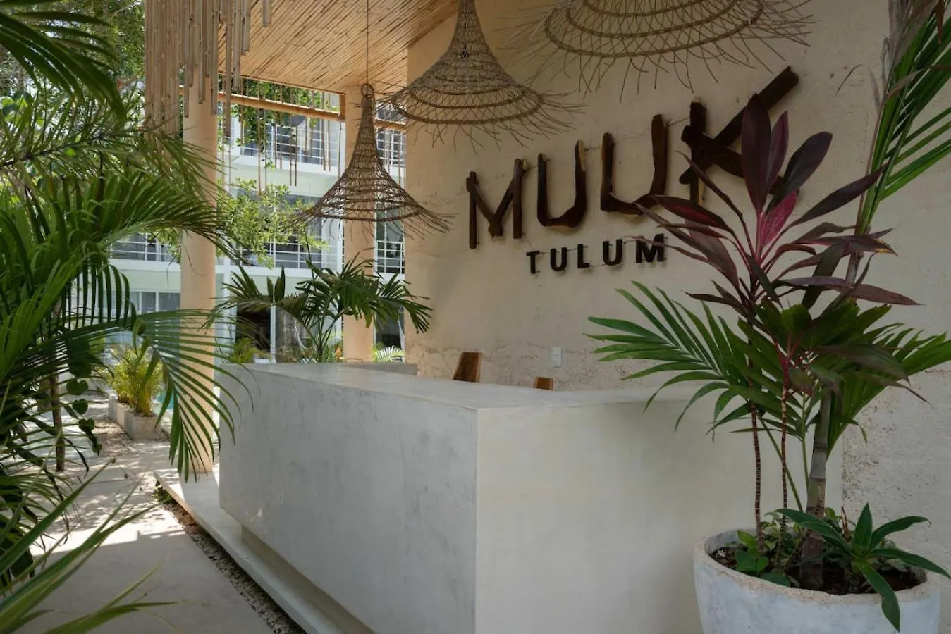 Modern And Stylish Studio In Muuk 툴룸 아파트